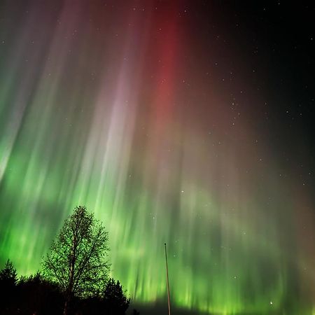 Bjorkli Lodge Geilo Exteriör bild