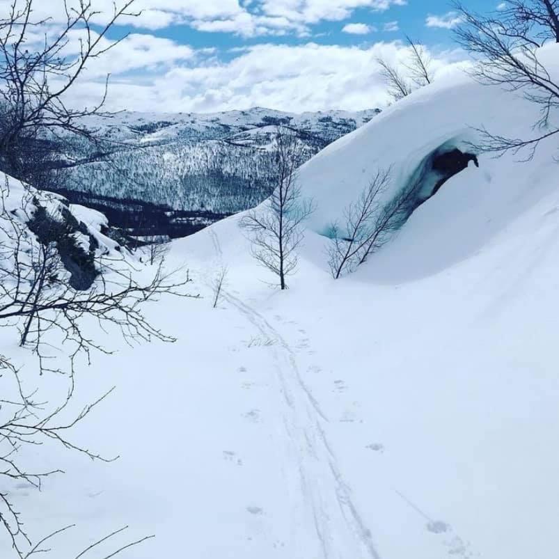 Bjorkli Lodge Geilo Exteriör bild