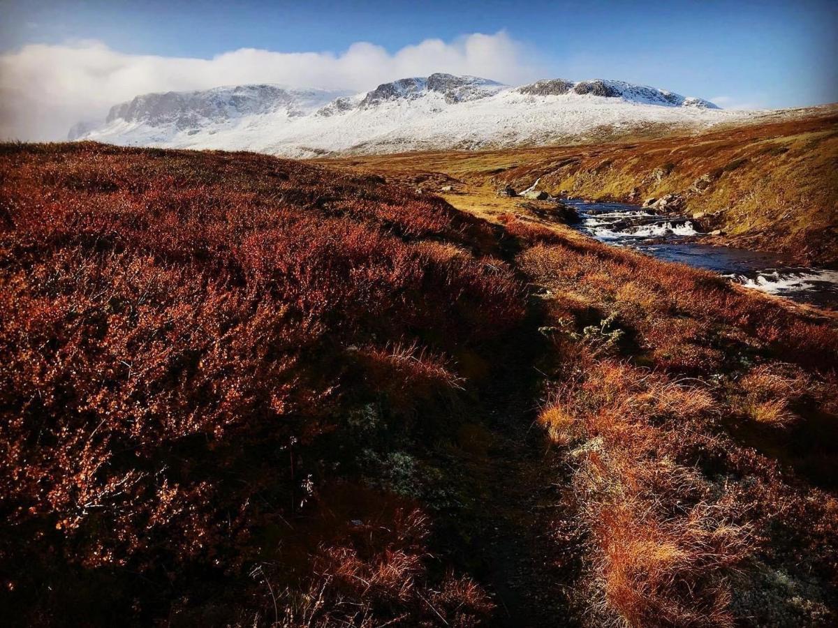 Bjorkli Lodge Geilo Exteriör bild