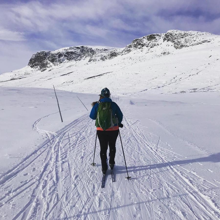 Bjorkli Lodge Geilo Exteriör bild