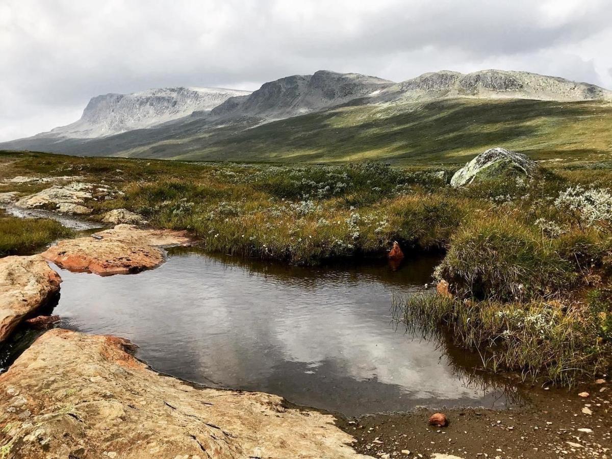 Bjorkli Lodge Geilo Exteriör bild