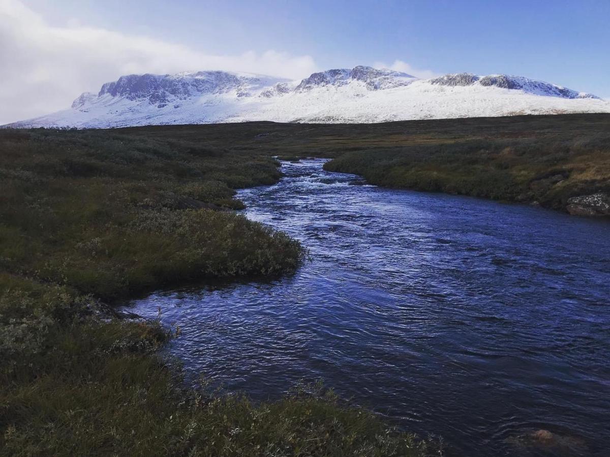 Bjorkli Lodge Geilo Exteriör bild