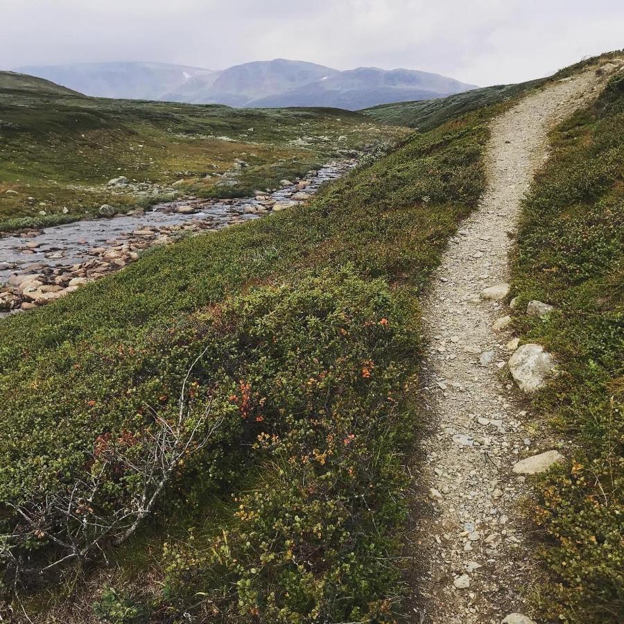 Bjorkli Lodge Geilo Exteriör bild