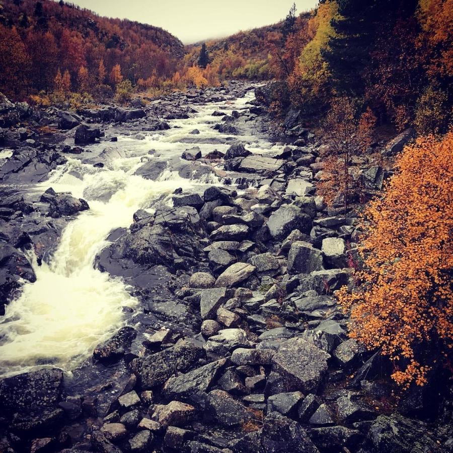 Bjorkli Lodge Geilo Exteriör bild