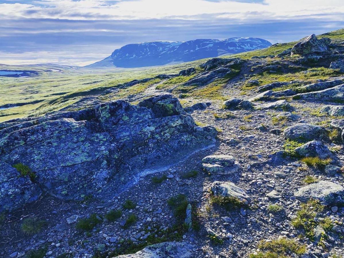 Bjorkli Lodge Geilo Exteriör bild