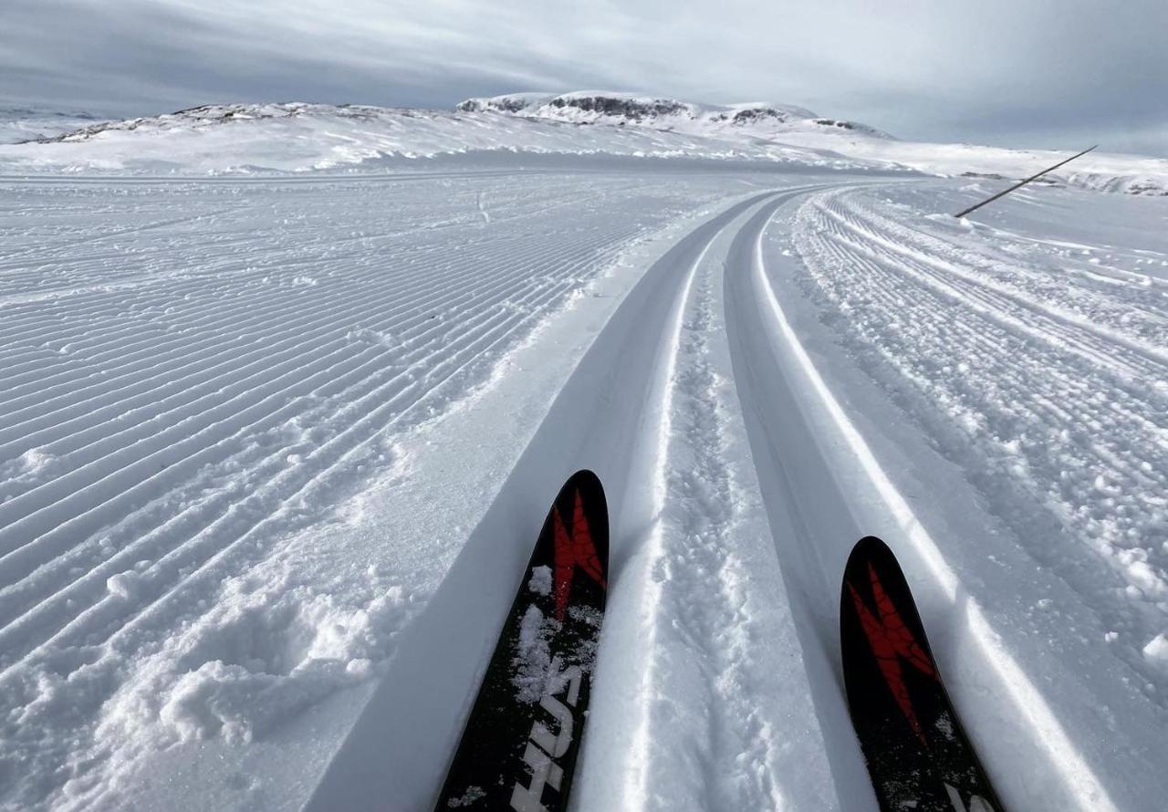 Bjorkli Lodge Geilo Exteriör bild