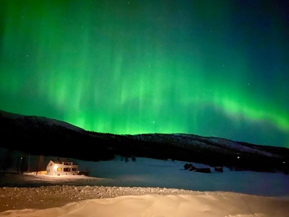 Bjorkli Lodge Geilo Exteriör bild