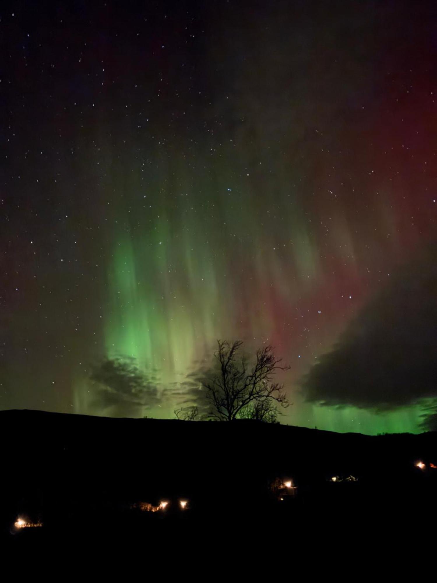 Bjorkli Lodge Geilo Exteriör bild